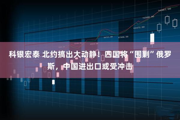 科银宏泰 北约搞出大动静！四国将“围剿”俄罗斯，中国进出口或受冲击
