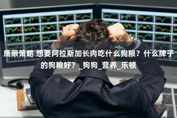鹰眼策略 想要阿拉斯加长肉吃什么狗粮？什么牌子的狗粮好？_狗狗_营养_乐顿