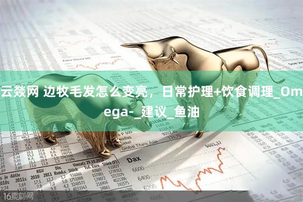 云燚网 边牧毛发怎么变亮，日常护理+饮食调理_Omega-_建议_鱼油