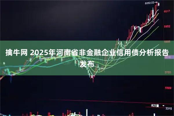 擒牛网 2025年河南省非金融企业信用债分析报告发布