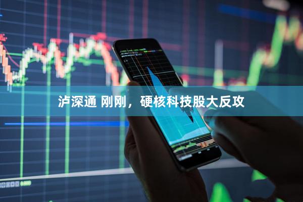 泸深通 刚刚，硬核科技股大反攻